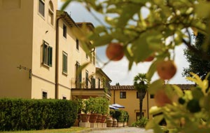 Agriturismo La Palazzina, Palaia