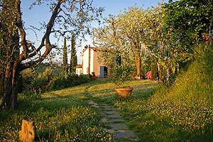 Agriturismo Podere Le Murella, Palaia