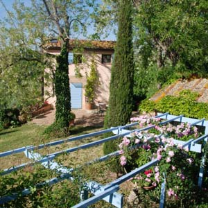 Agriturismo Podere Le Murella, Palaia