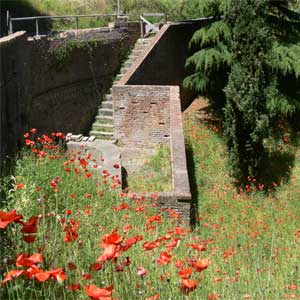 I Fonchioni, Palaia