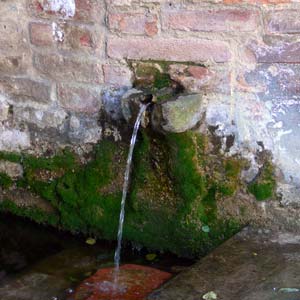 I Fonchioni, Palaia