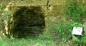 Percorso archeobotanico di Partino, Palaia